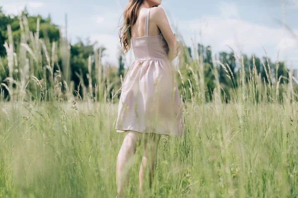 一人で草原に長い髪立ってスタイリッシュなドレスを着た女性の部分的なビュー — ストック写真