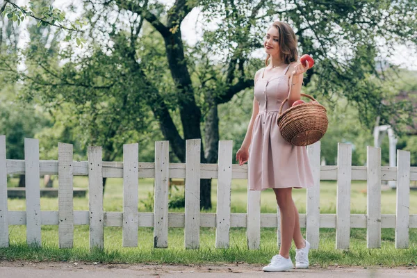 Schöne Junge Frau Mit Weidenkorb Mit Reifen Äpfeln Auf Dem — Stockfoto