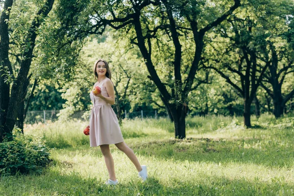 Gülümseyen Genç Kadın Elbiseli Olgun Elma Kırsal Yürüyüş Ile — Stok fotoğraf