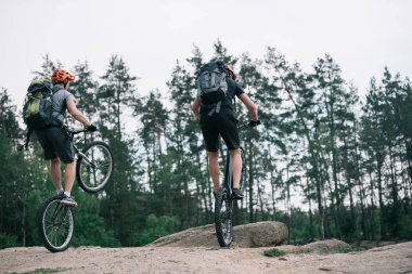 Koruyucu baretler ormandaki dağ bisiklet atlama erkek aşırı bisikletçiler dikiz