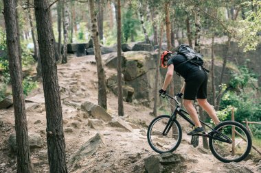 side view of male extreme cyclist in protective helmet riding on mountain bicycle in forest clipart