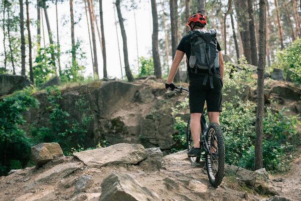 rear view of male extreme cyclist in protective helmet riding on bmx in forest