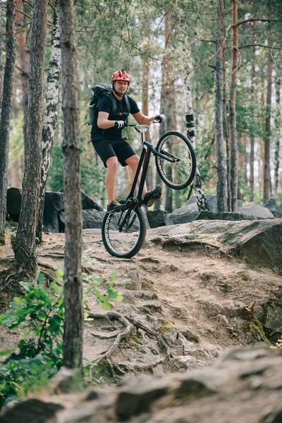 Jeune Cycliste Extrême Masculin Casque Protection Équilibrage Sur Roue Arrière — Photo gratuite