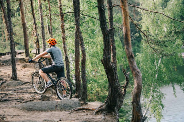 rear view of male cyclist in helmet riding in forest 