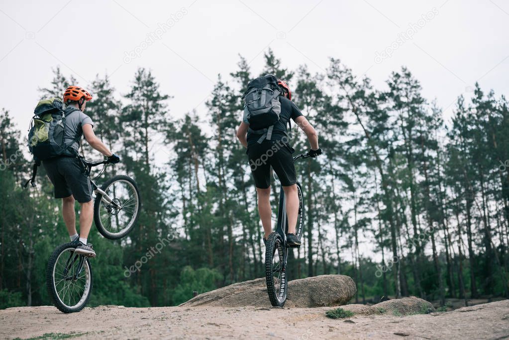 rear view of male extreme cyclists in protective helmets jumping on mountain bicycles in forest