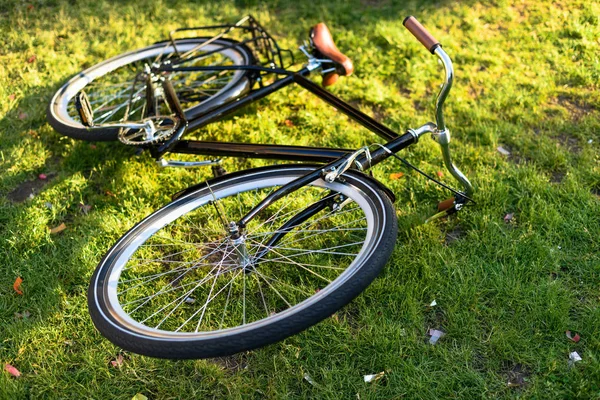 Close View Retro Bicycle Lying Green Grass Park — Free Stock Photo