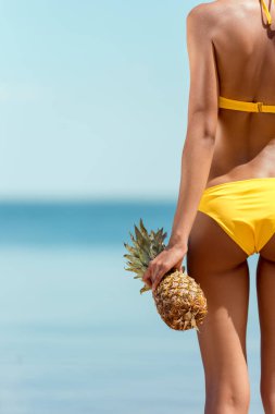 kadının ananas kumsalda tutan bikini resim kırpılmış 