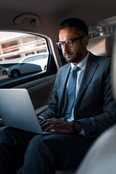 Uomo Affari Occhiali Vista Utilizzando Computer Portatile Sul Sedile Posteriore — Foto Stock