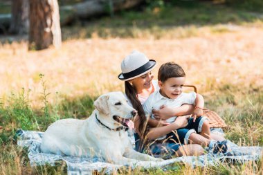 mutlu kardeşler piknik labrador köpek ile battaniye oturan 