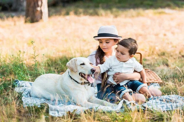 Frère Sœur Assis Sur Une Couverture Avec Chien Labrador — Photo