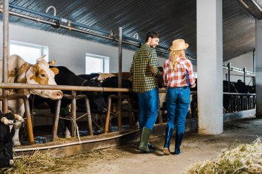 back view of couple of farmers walking in stable with cows clipart