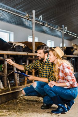 Çift çömelme ve inekler istikrarlı kontrol çiftçi