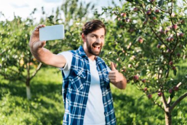 seçici odak elma bahçesinde başparmak kadar hasat ve alma selfie smartphone ile gösterilen çiftçinin