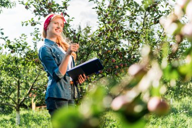 çekici çiftçi hasat çiftliğinde elma bahçesinde kontrol