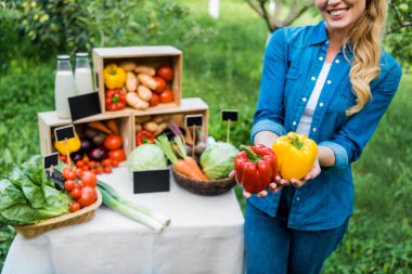 cropped image of farmer showing ripe bell peppers at farmer market clipart