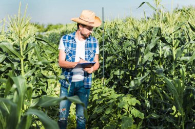 handsome farmer checking harvest with clipboard in field at farm  clipart