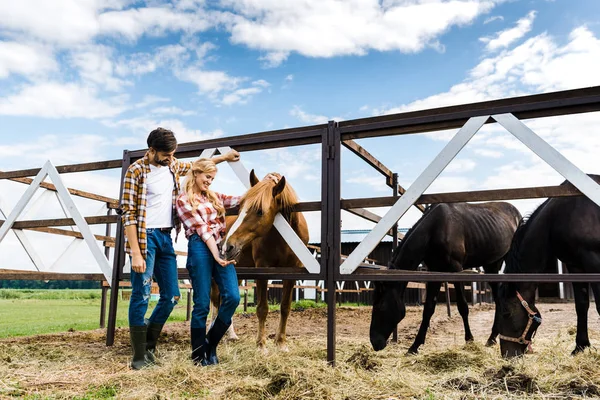 Casal Agricultores Felizes Palming Cavalo Estábulo — Fotografia de Stock