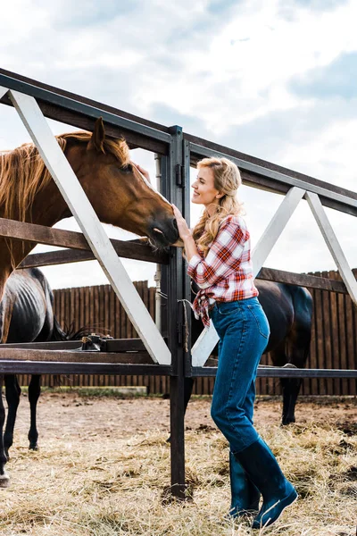 魅力的な笑顔の農家の馬小屋で馬をパーミングの側面図 — ストック写真