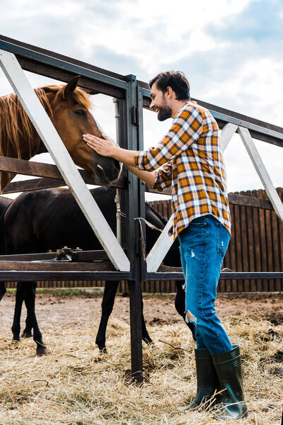 side view of handsome smiling farmer palming horse in stable