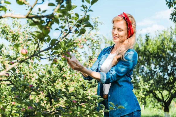 Beautiful Farmer Touching Apple Tree Garden — Stock Photo, Image