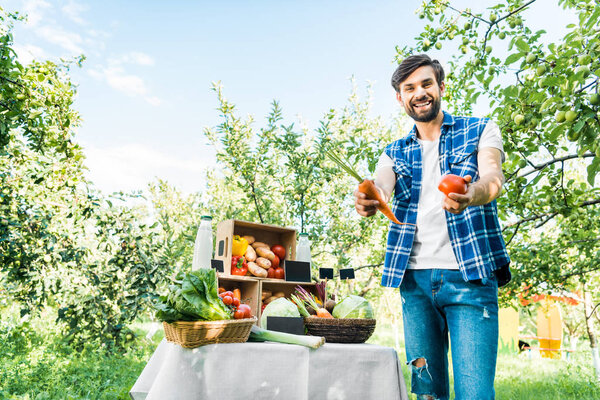 happy farmer showing ripe ecological vegetables at farmer market