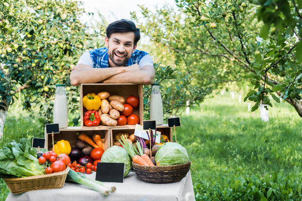 handsome farmer leaning on boxes with vegetables at farmer market