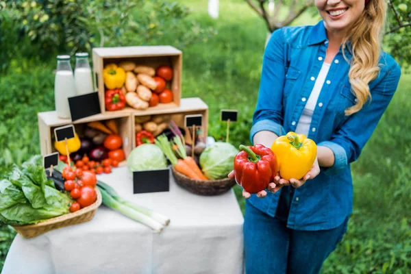 Cropped Image Farmer Showing Ripe Bell Peppers Farmer Market — Stock Photo, Image