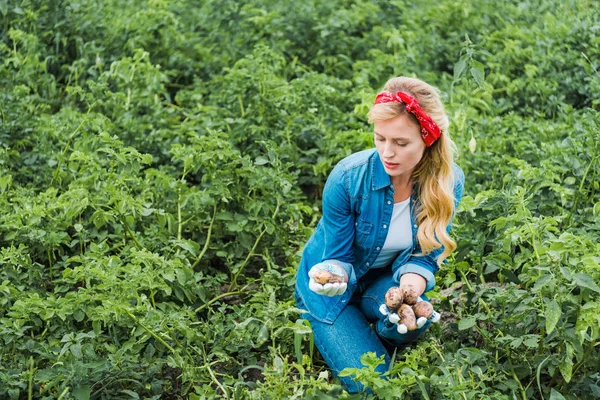 Attraktiva Bonden Tittar Potatis Fältet Gård — Stockfoto