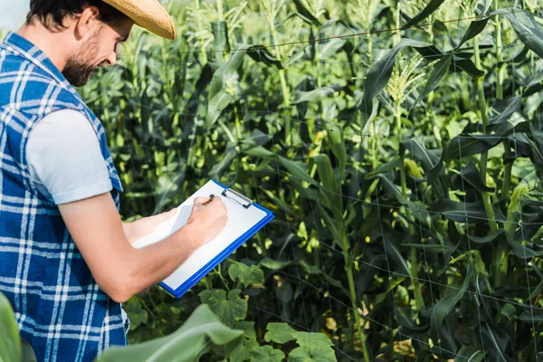 Boční Pohled Hezký Zemědělec Kontrolu Sklizně Deskami Poli Farmě — Stock fotografie