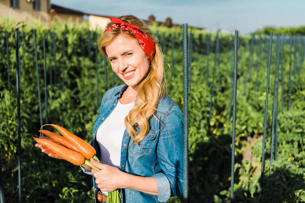 attractive farmer holding organic carrots in field at farm and looking at camera