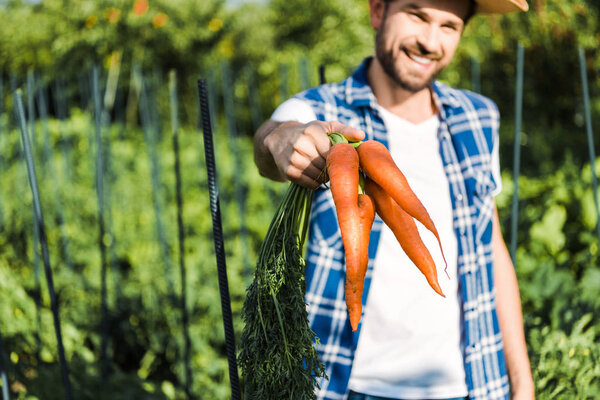 handsome farmer showing organic carrots in field at farm