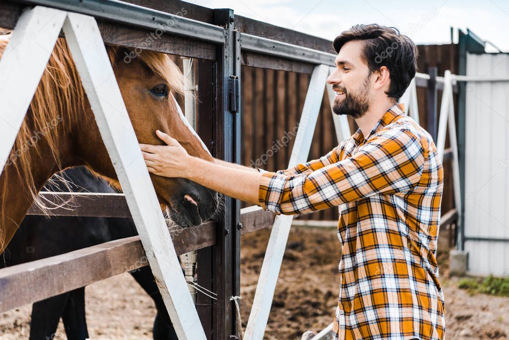 side view of handsome smiling farmer palming brown horse in stable