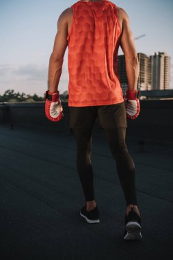 arkadan görünüşü boks eldivenleri ile çatı yürüme sporcu
