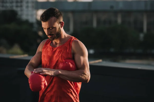 Stilig Sportsman Bär Boxning Handske Taket — Gratis stockfoto