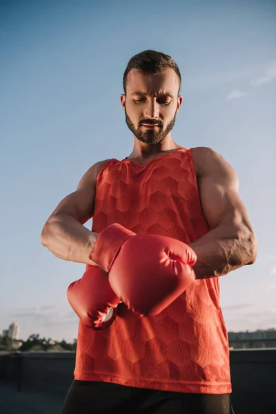 Schöner Sportler Bindet Boxhandschuh Auf Dach — kostenloses Stockfoto