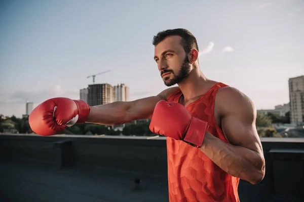 Guapo Boxeador Entrenamiento Con Guantes Boxeo Techo — Foto de stock gratis