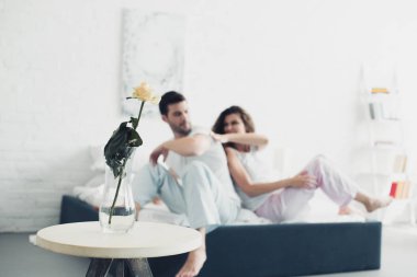 gül çiçek vazo ve Genç çift yatakta kavga