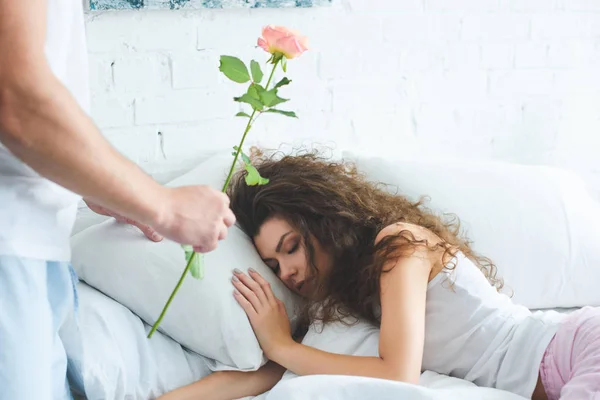 Împușcat Prezentând Floarea Trandafir Prietenei Frumoase Dormit — Fotografie de stoc gratuită