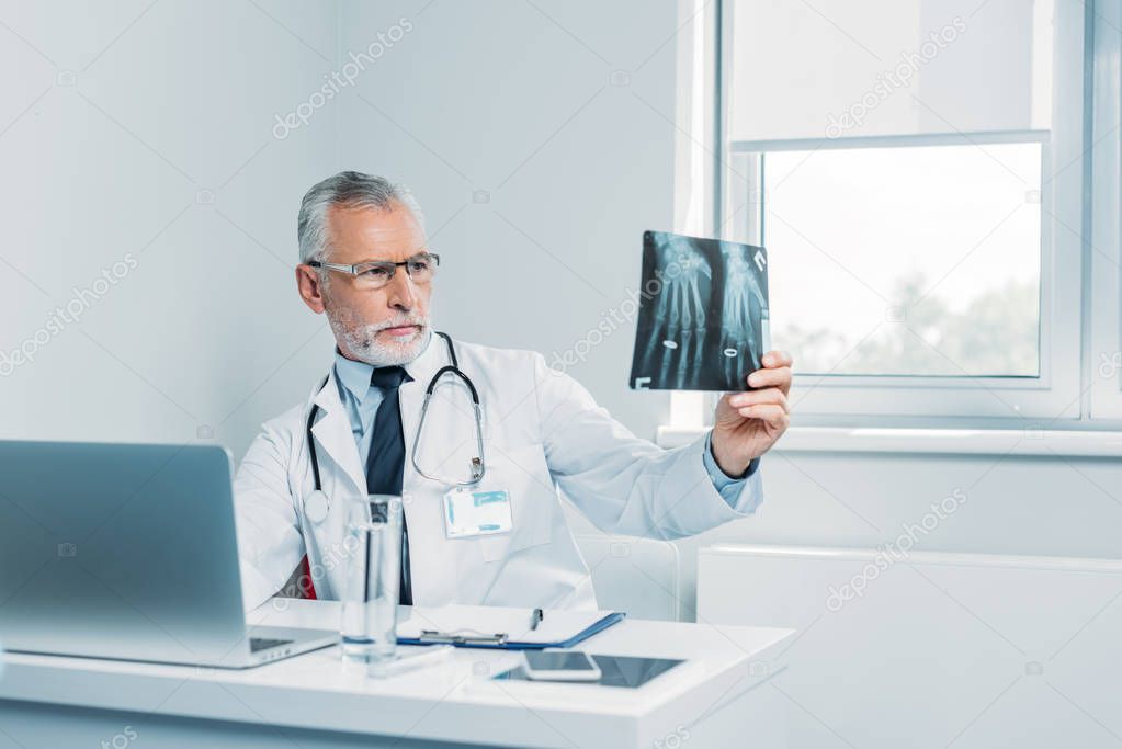 concentrated mature male doctor analyzing x-ray picture at table in office 