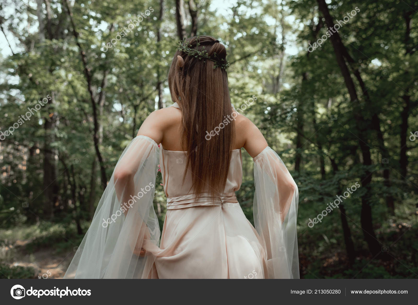 Vista Posterior Elfo Místico Vestido Elegante Bosque: fotografía de stock ©  VitalikRadko #213050280