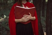 cropped view of mystic girl in red cloak holding magic book in forest