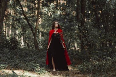 mystic girl in black dress and red cloak walking in forest clipart