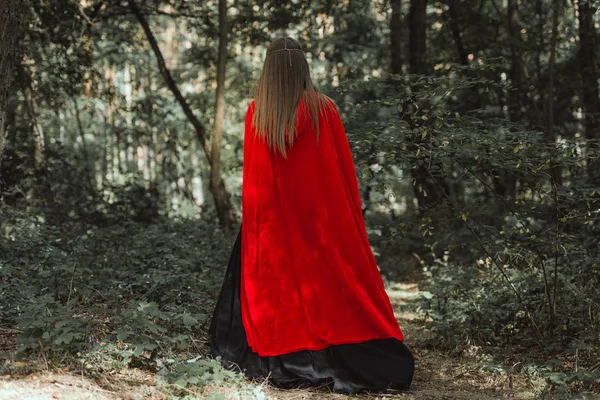 Achteraanzicht Van Mystic Vrouw Rode Mantel Bos — Stockfoto