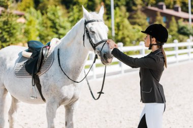 side view of attractive female equestrian fixing horse halter at horse club clipart