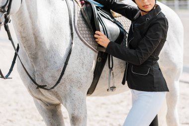 cropped image of female equestrian fixing horse saddle at horse club clipart