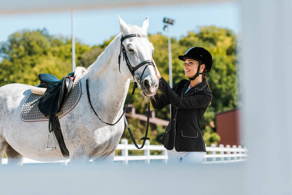 view through fence on attractive female equestrian fixing horse halter at horse club