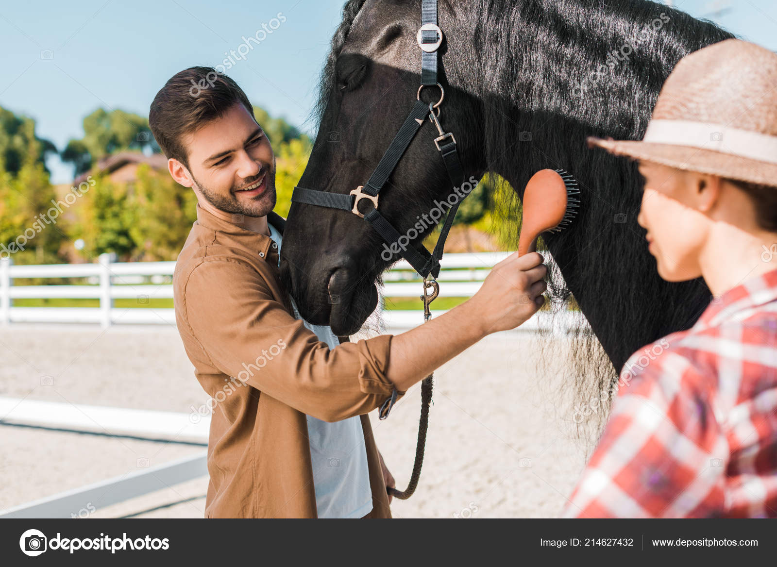 Fotos de Cavalo sorrindo, Imagens de Cavalo sorrindo sem royalties