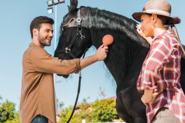 handsome smiling equestrian combing black horse mane at ranch clipart