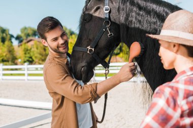 handsome smiling equestrian combing black horse mane at horse club clipart