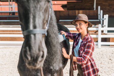 attractive cowgirl cleaning black horse with brush at ranch clipart